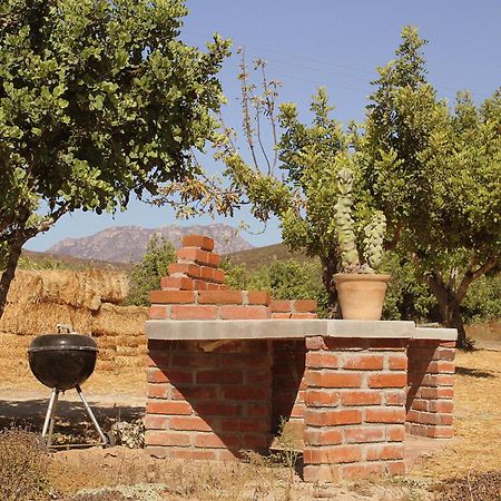 Las Orquideas Cabins Valle de Guadalupe Exterior foto